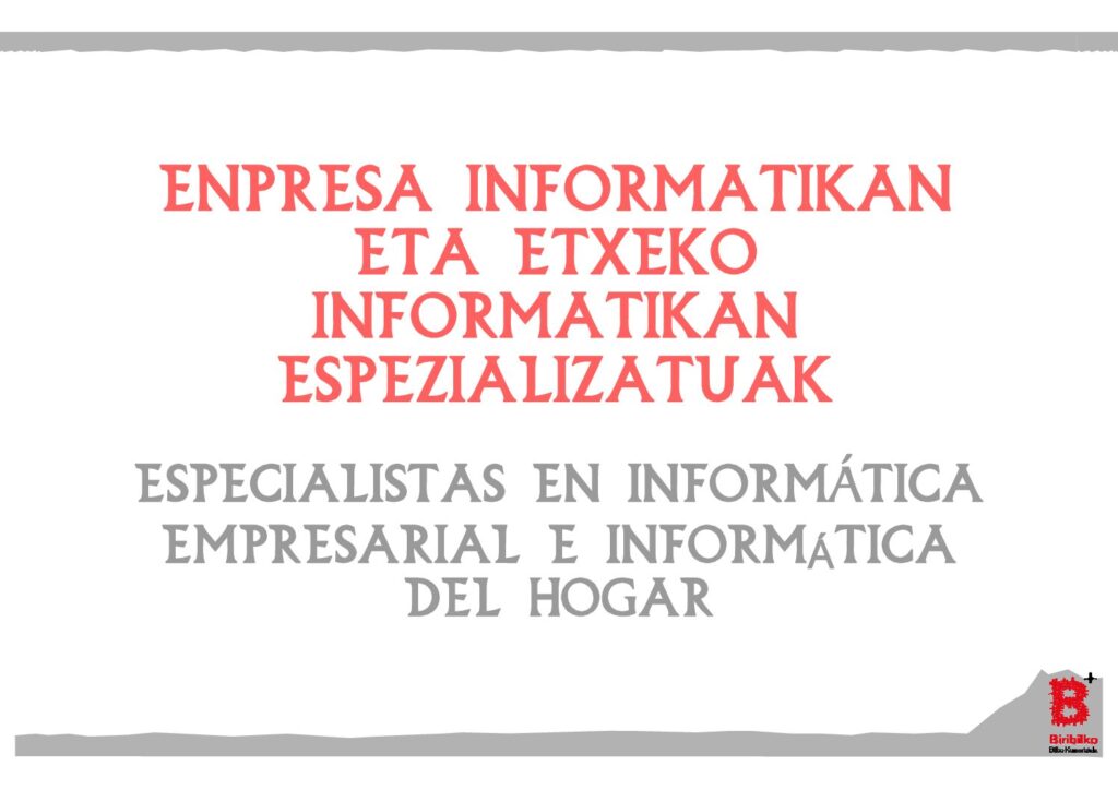 Enpresa informatikan eta etxeko informatikan espezializatuak